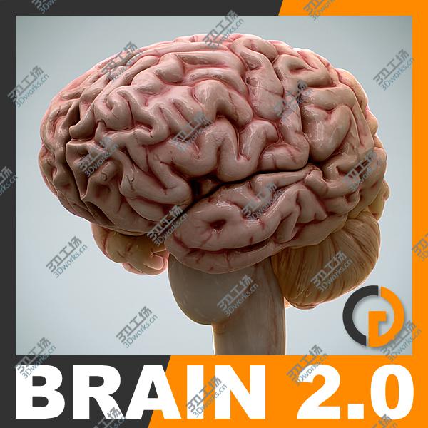 images/goods_img/202104092/Human Brain 2.0 - Anatomy/1.jpg